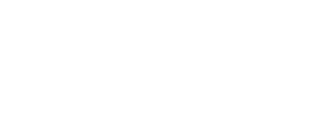 adk bongo